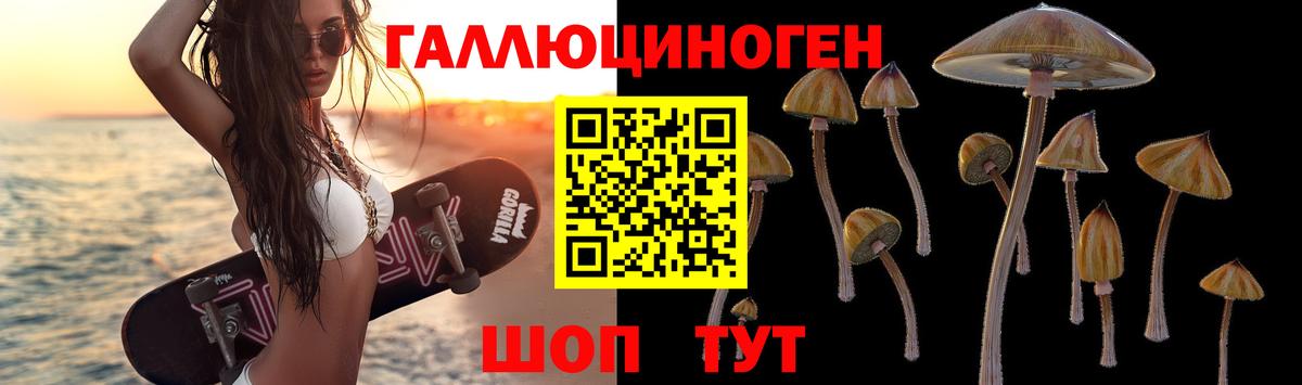 Псилоцибиновые грибы мухоморы Нарткала
